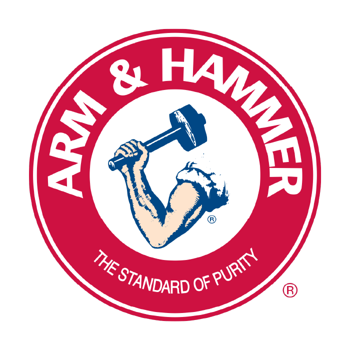 ARM AND HAMMER