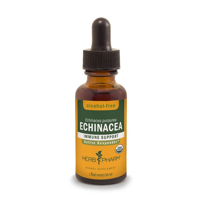 Herb Pharm Echinacea Glycerite