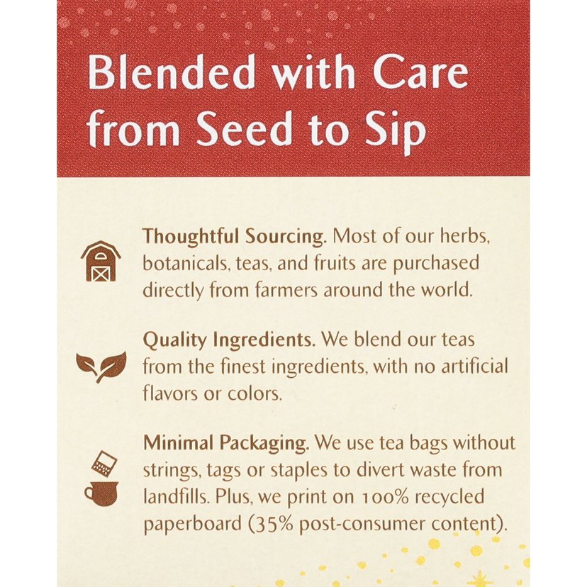 Celestial Seasonings Herbal Tea Cinnamon Apple 20s