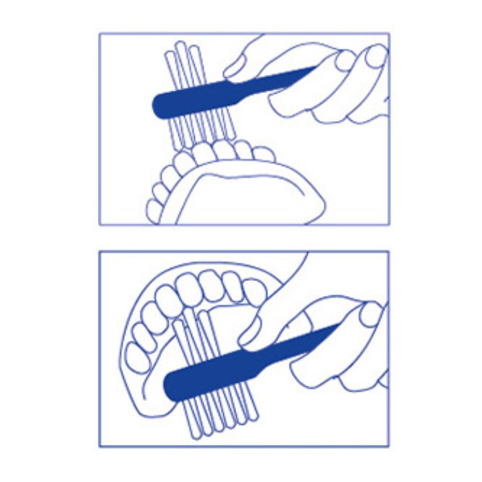 Foramen Denture Brush Pink 1s