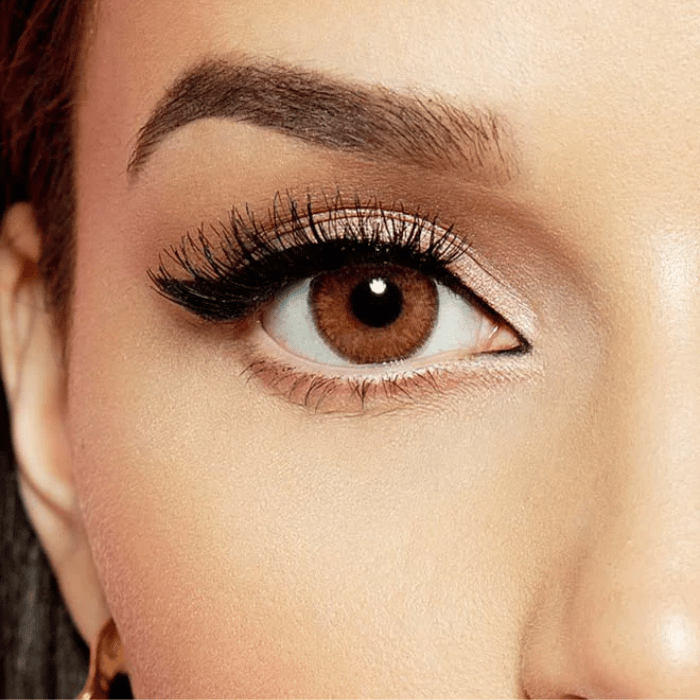 Layala Contact Lens 3 Months Chocolate Brown