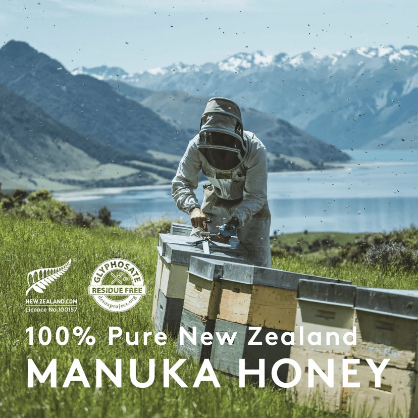 Nz Health UMF Manuka Honey 8+ With Ginger 500g