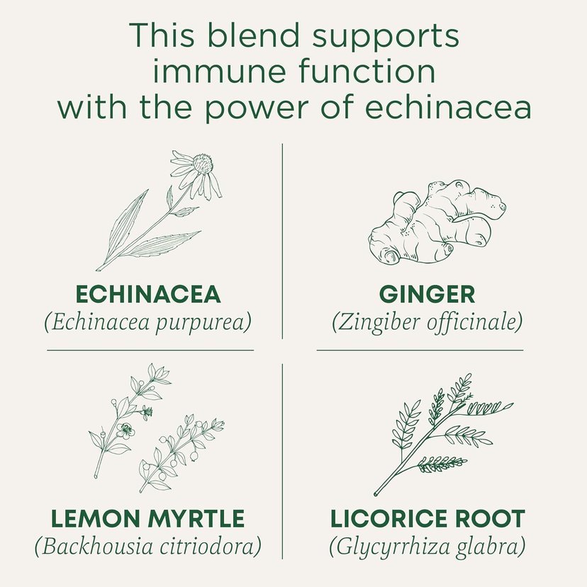 Traditional Medicinals Organic Immune Zoom Lemon Ginger Echinacea Tea 16s