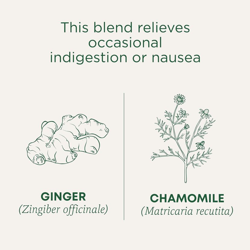 Traditional Medicinals Golden Ginger With Chamomile 16 Tea Bags