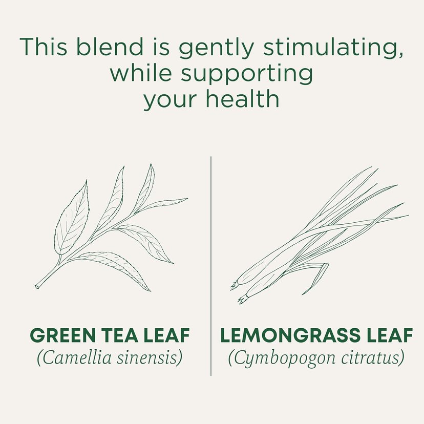 Traditional Medicinals Green Tea Lemongrass 16 Tea Bags