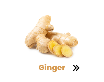 Ginger