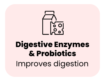 Digestive Enzymes