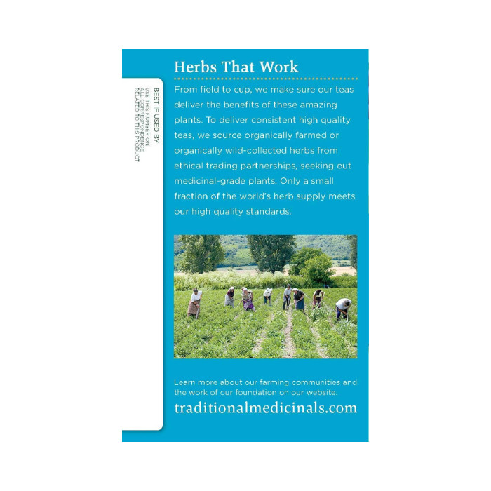 Traditional Medicinals Everyday Detox 16 Tea Bags
