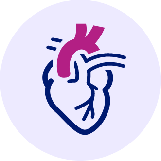 Cardiology