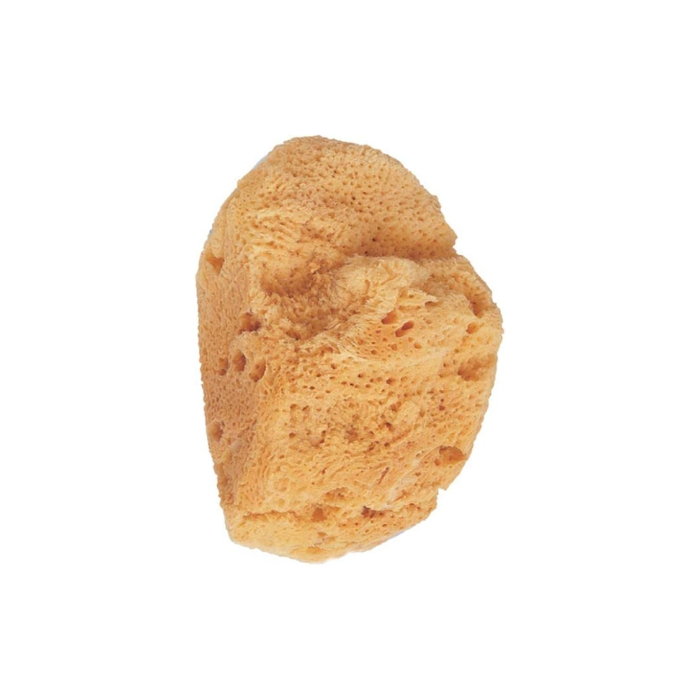 اسفنجة استحمام من بيتر سي صغيرة