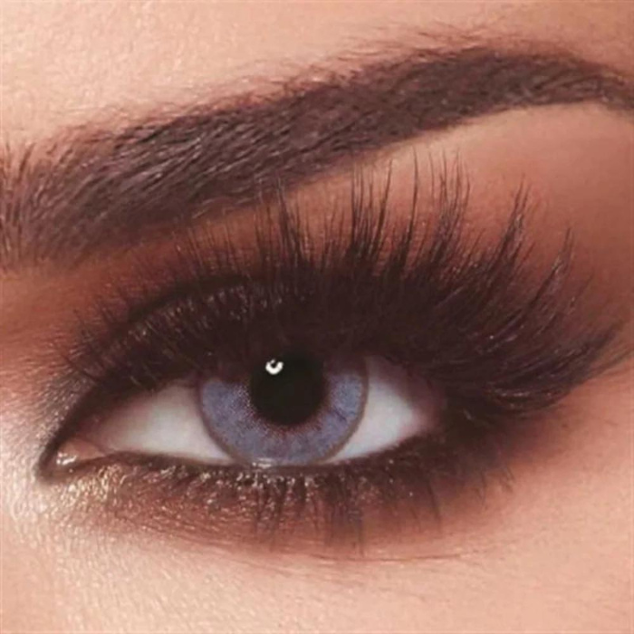 Contact Lenses Bella One Day Plano Bluish Gray