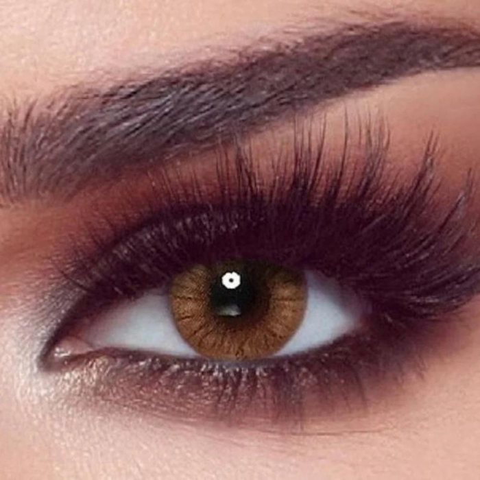 Contact Lenses Bella One Day Rx Hazel Honey