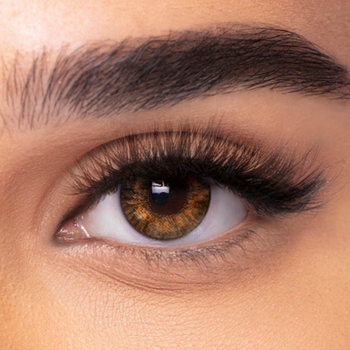 Contact Lenses Freshlook One Day Rx Pure Hazel 10pcs