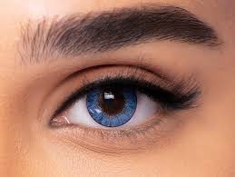 Contact Lenses Freshlook Colorblends Plano True Sapphire
