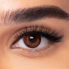 Contact Lenses Freshlook Colorblends Rx Brown