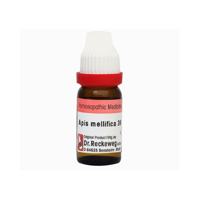 Dr Reckeweg Apis Mellifica 30C Dilution 7.5 ML