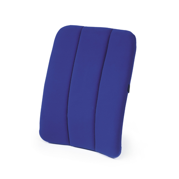 Sissel Dorsaback Car Blue