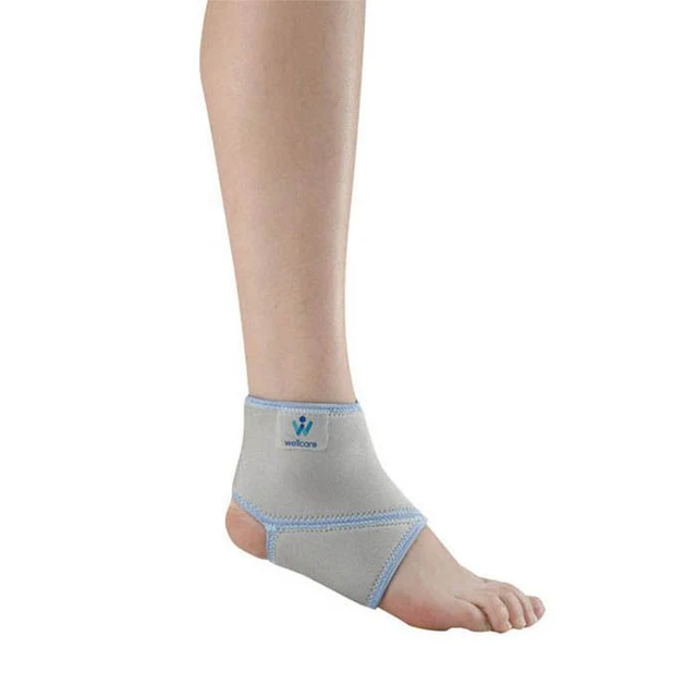 Well Care Ankle  Brace  Large